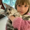 Do Maine Coon Cats Make Good House Pet