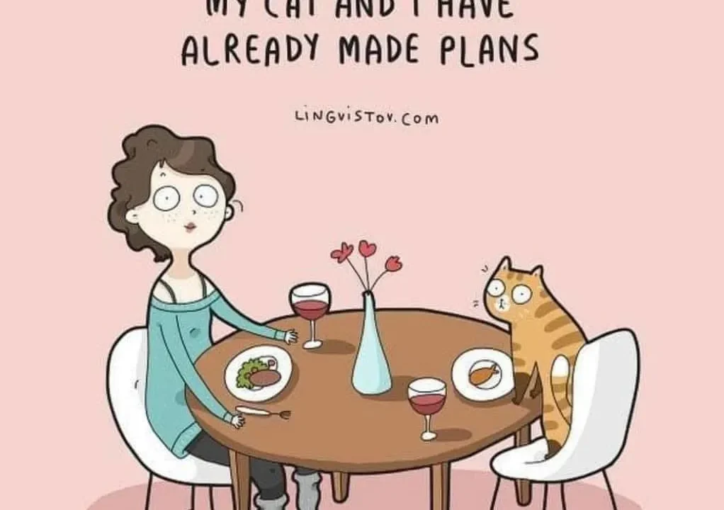 My CATS AND I