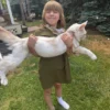 How Big Do Maine Coon Cats Get