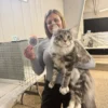 True Size of Maine Coon Cats2