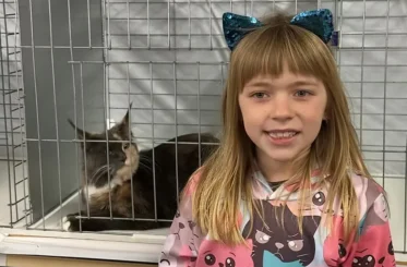 wonderful world of showing cats