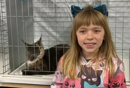 wonderful world of showing cats