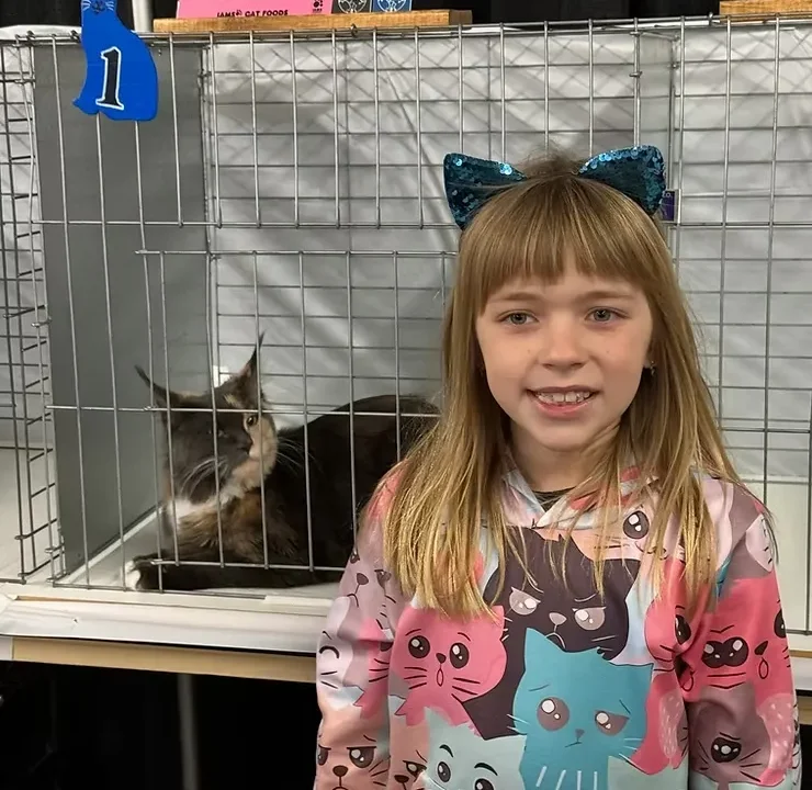 wonderful world of showing cats