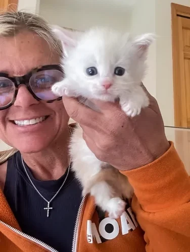 Are Maine Coon Cats High Maintenanc