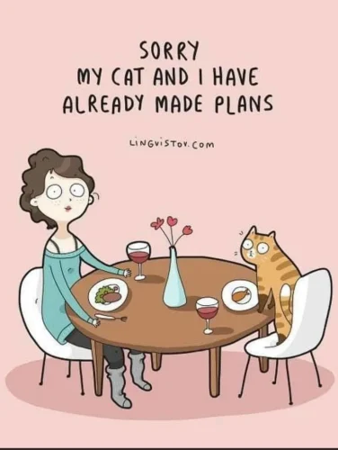 My CATS AND I